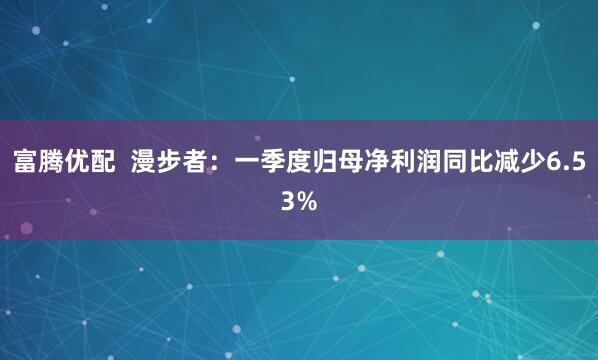 富腾优配  漫步者：一季度归母净利润同比减少6.53%