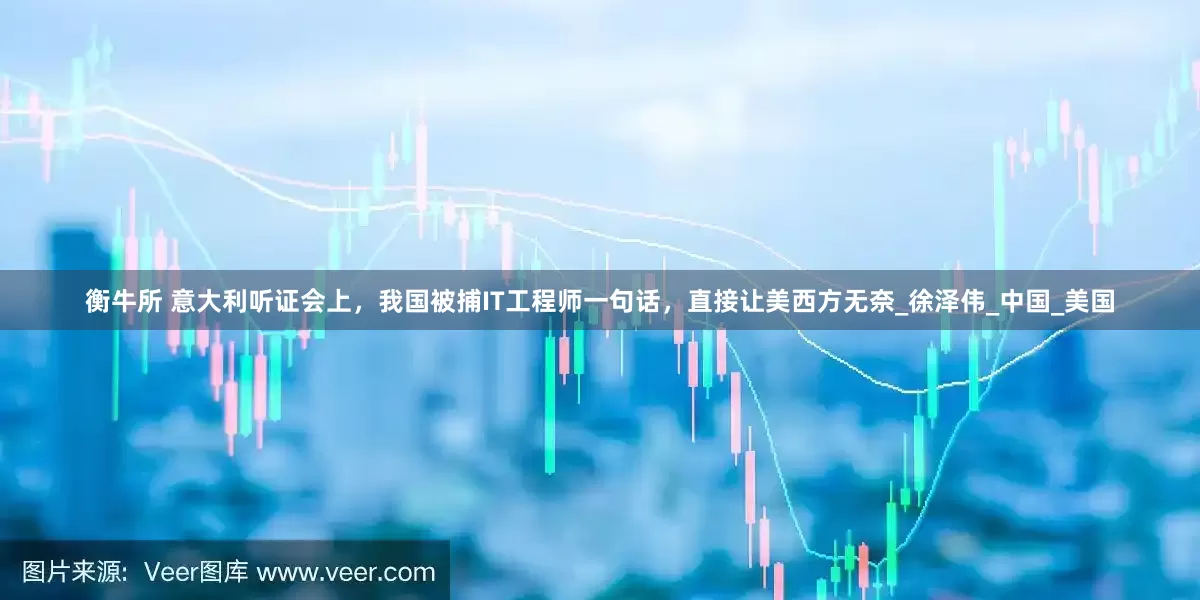 衡牛所 意大利听证会上，我国被捕IT工程师一句话，直接让美西方无奈_徐泽伟_中国_美国