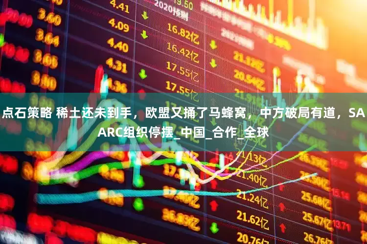 点石策略 稀土还未到手，欧盟又捅了马蜂窝，中方破局有道，SAARC组织停摆_中国_合作_全球
