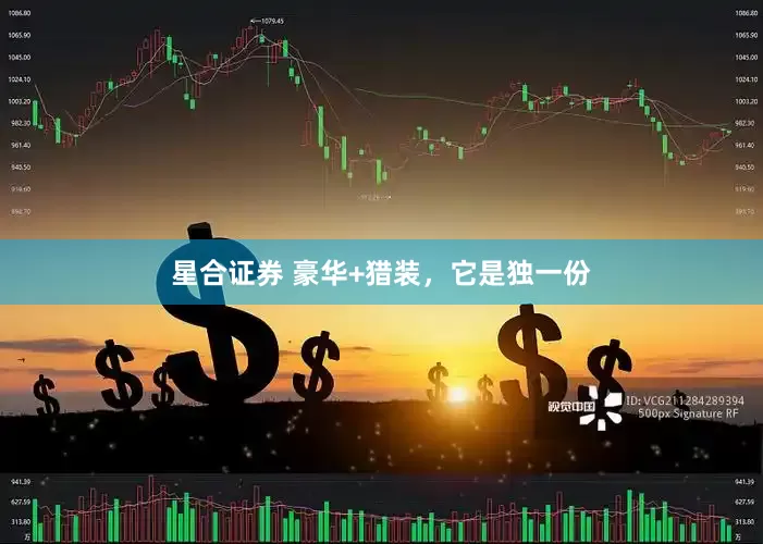 星合证券 豪华+猎装，它是独一份